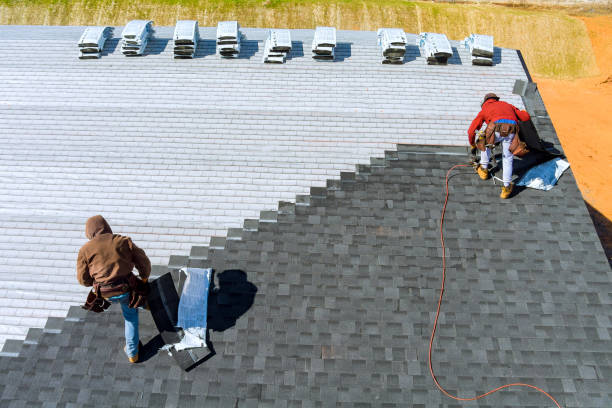 Best Flat Roof Repair Services  in Mckee City, NJ